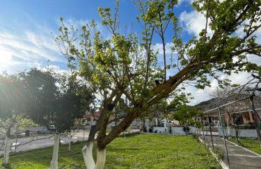 Aspasias Traditional Studio - Foto 20