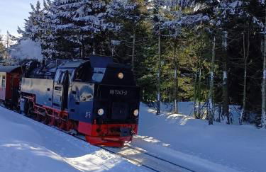 Holiday Home Schloßblick - Foto 48