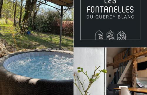 Les fontanelles du quercy blanc - Foto 77