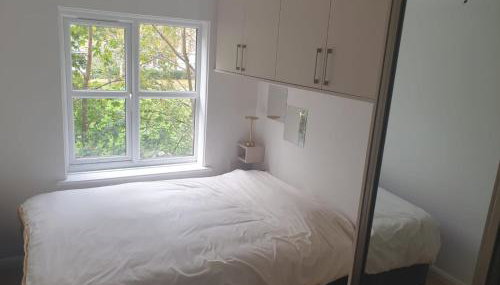 Peaceful room on sharing flat in Wimbledon - Foto 4