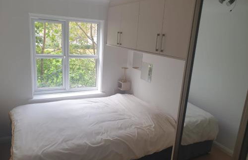 Peaceful room on sharing flat in Wimbledon - Foto 4