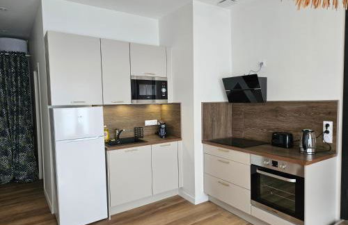 Appartements 4, 5 et 10 personnes rénovés en centre-ville - Foto 26