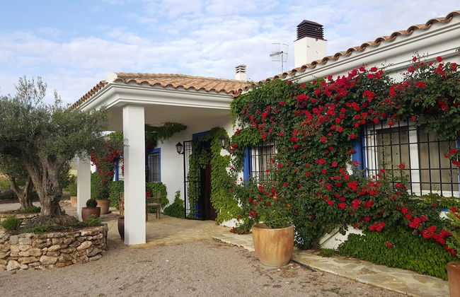 Finca El Romeral - Foto 1