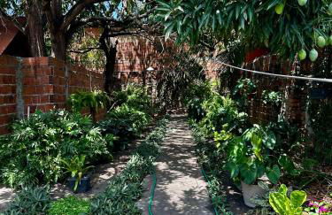 Casinha da vovó - Photo 7