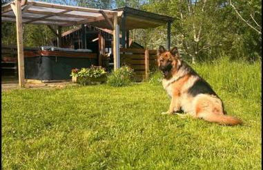 Wooden tiny house Glamping cabin with hot tub 1 - Photo 4