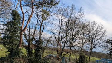 Ferienwohnung Bohnenberg - Foto 4