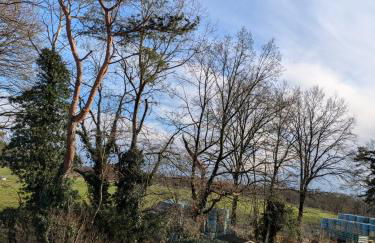 Ferienwohnung Bohnenberg - Foto 4