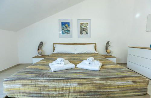 Riccio di Mare - Foto 15