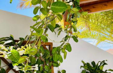 Villa Panoramic del Atlantico - Foto 43