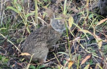 Harbor Island D112 - Foto 19