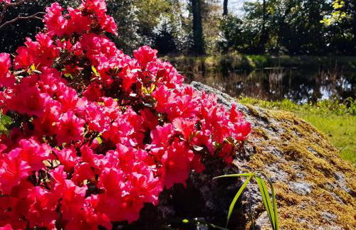 Agapè, élégant T2, 4 étoiles, plage et GR34 3km, centre ville 750m - Foto 35