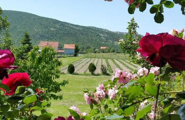 Villa Almas - Foto 54