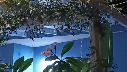 "Villetta tra Mare e Barocco" - Foto 5