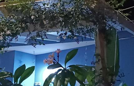 "Villetta tra Mare e Barocco" - Foto 5