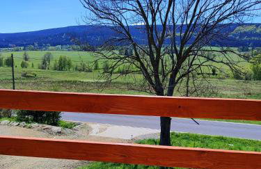 Domek w Lasówce - Foto 2