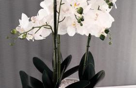 Thermes coconing Amnéville-Metz-Thionville- Luxembourg - Foto 27