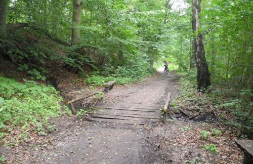 Häuschen über der Lanke - Photo 25