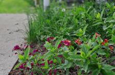 Caloroczny domek letniskowy ze stawem - Foto 7