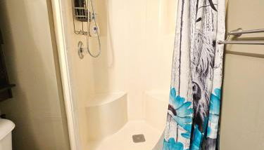 Cozy Lawrence 1BR Near KU - Wi-Fi & Patio - Foto 5, Shower