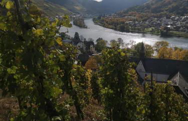 Ferienhaus zur Weinfee - Foto 42