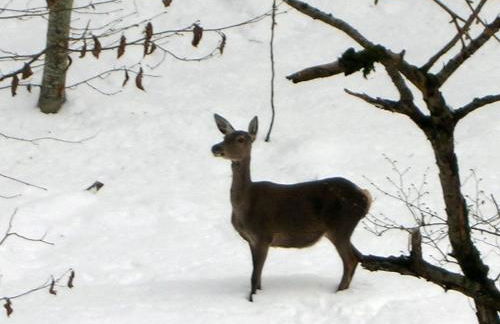 Casa Petra y Armando - Foto 46