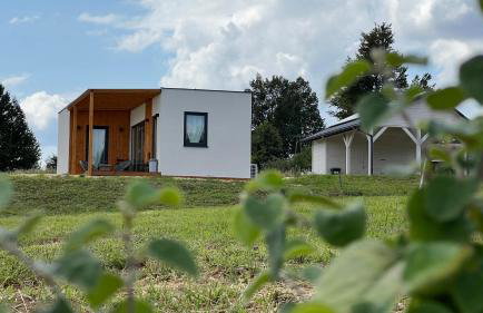 W Kręgu Natury - Foto 4