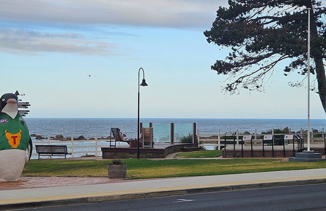 Penguin Retreat - Photo 32