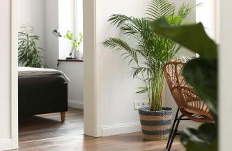 Villa Alexandra 1897 Wohnung Maria - Foto 7