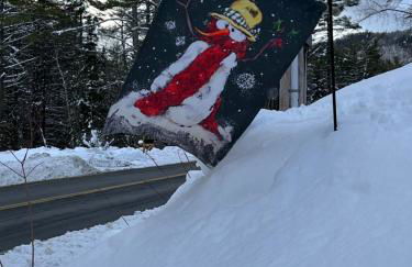 Shiraz House - Foto 17