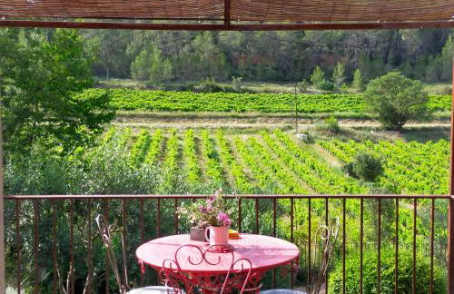Le Figuier appart 2-3 pers en plein vignoble avec piscine privée à 30mn des gorgesdu Verdon et des plages - Foto 21
