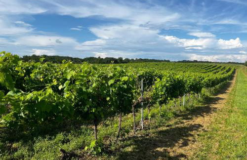 No 10 Vic Fezensac - Photo 26