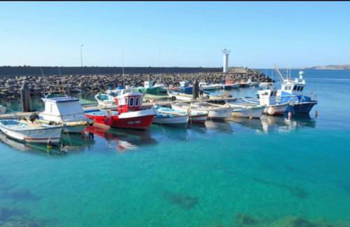 Das blaue Haus - Foto 21