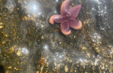 Jannes Wohnung - Foto 19