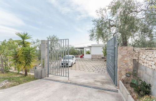 Macchia Verde - Foto 12