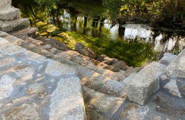 Arca dos Animais - Farming & SPA - Foto 10