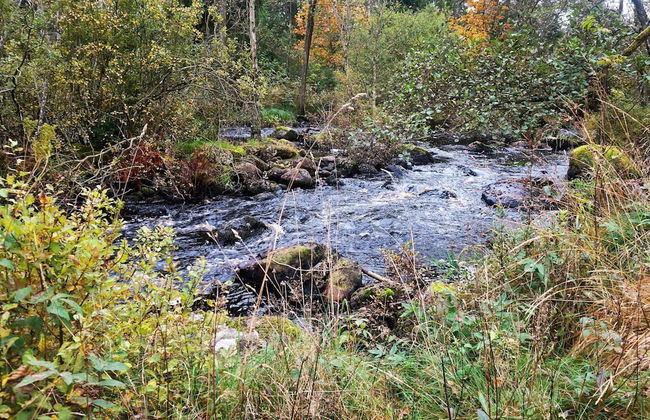 Holiday Home Near 18-hole Golf Course in Vittsjo - Foto 4