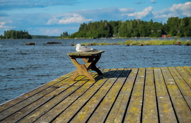 Holiday Village Anttoora - Anttooran Lomakylä - Foto 77