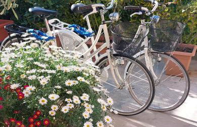 CASA del SOLE APARTMENTS with garden - Foto 20