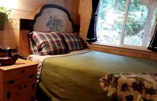 Wilderness Cabin Getaway with Breathtaking Views in Klawock on Prince of Wales Island in Alaska - Foto 5