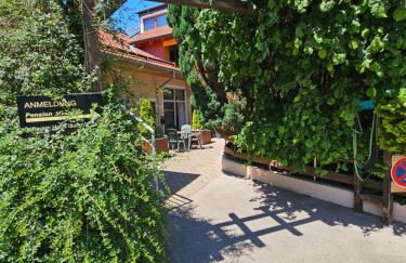 Pension und Ferienwohnungen Lerchl - Foto 71