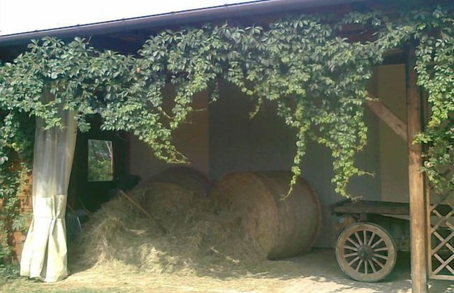 Agriturismo Ca' de' Gatti - Foto 69