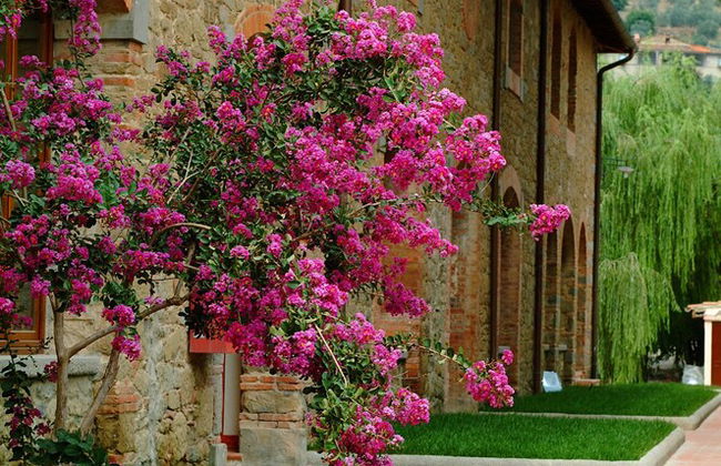 Agriturismo Antico Borgo Poggitazzi - Foto 79