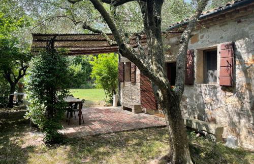 La Bicocca - Foto 14