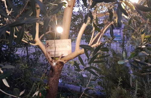 Casita Esperanza - Foto 67