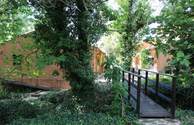 Molinos de Fuenteheridos - Photo 49