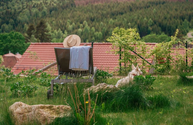 Ferienwohnung im Schierke Harzresort am Brocken - Foto 25