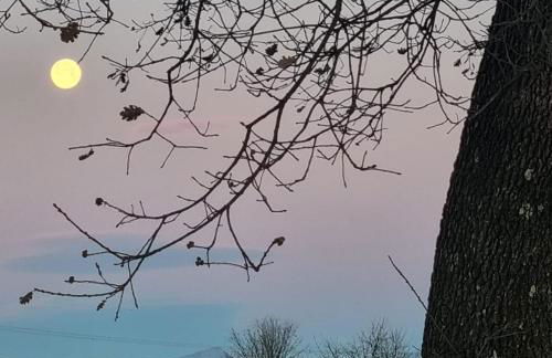 Casa Angelina Altopascio Lucca - Photo 22