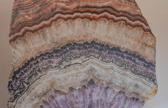 Lindenhof Michaelis - Foto 65