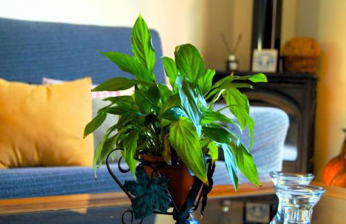 Holiday Home mit Schwimmbad nur für Erwachsene by Interhome - Foto 23