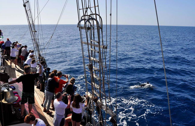 Giro in nave pirata - Foto 6